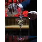 Professional Hawthorne Cocktail Strainer 3 s l1200 162