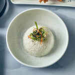 Terra Porcelain Pearl Coupe Bowl 20cm - Pack of 6 4 LFST0324157