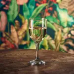 Tokyo Wine Glass 29cl/ 10.2oz - Pack of 6 3 LFST0924220